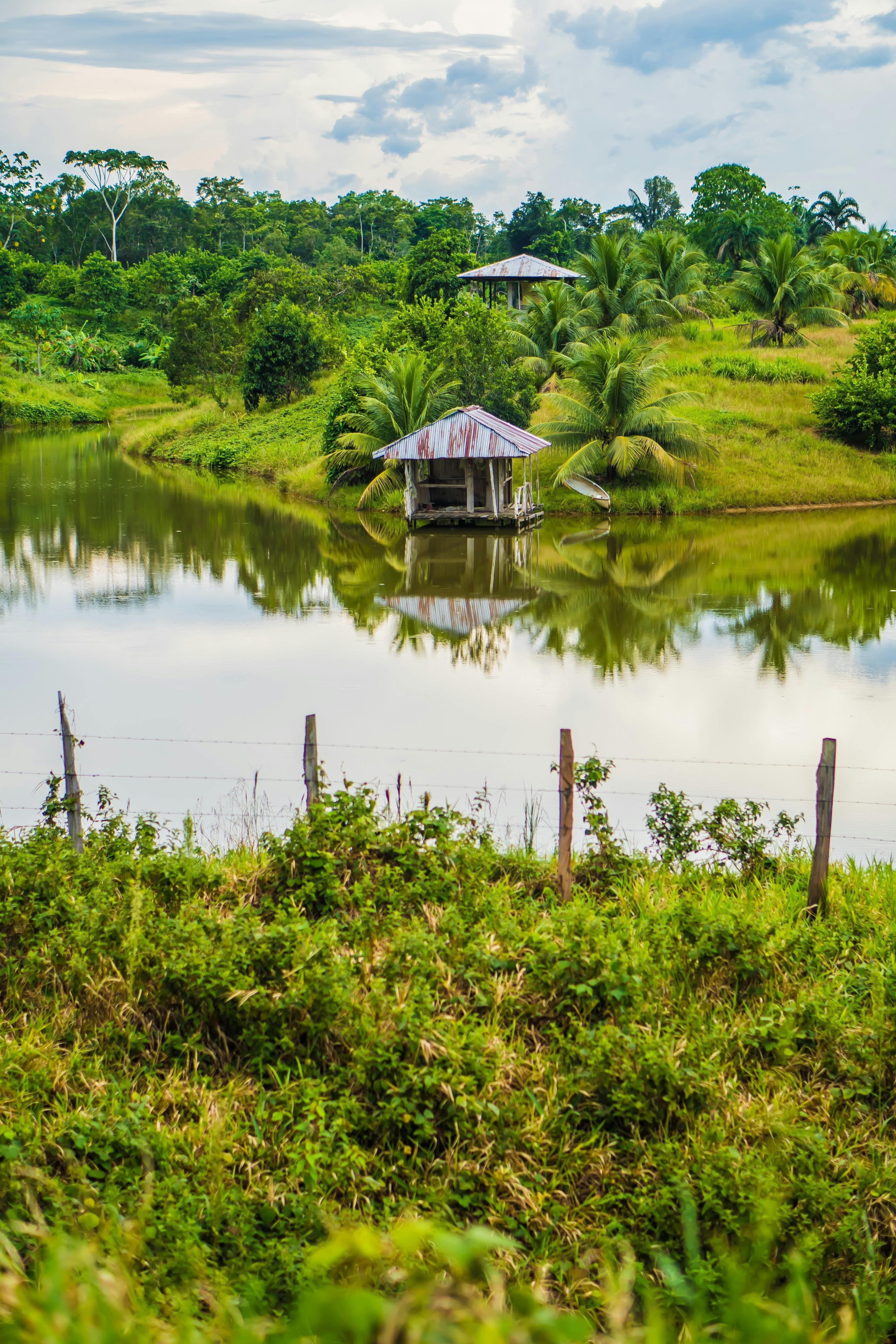 La Selva de Iquitos & Su Ciudad
